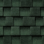 Roof Shingle