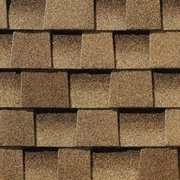 Roof Shingle